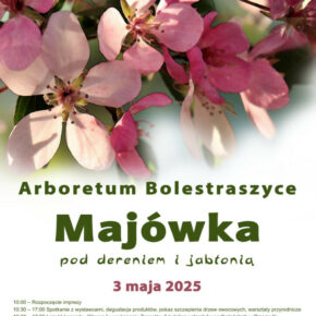 Plakat majówka