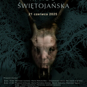 Plakat XI Nocy Świętojańskiej