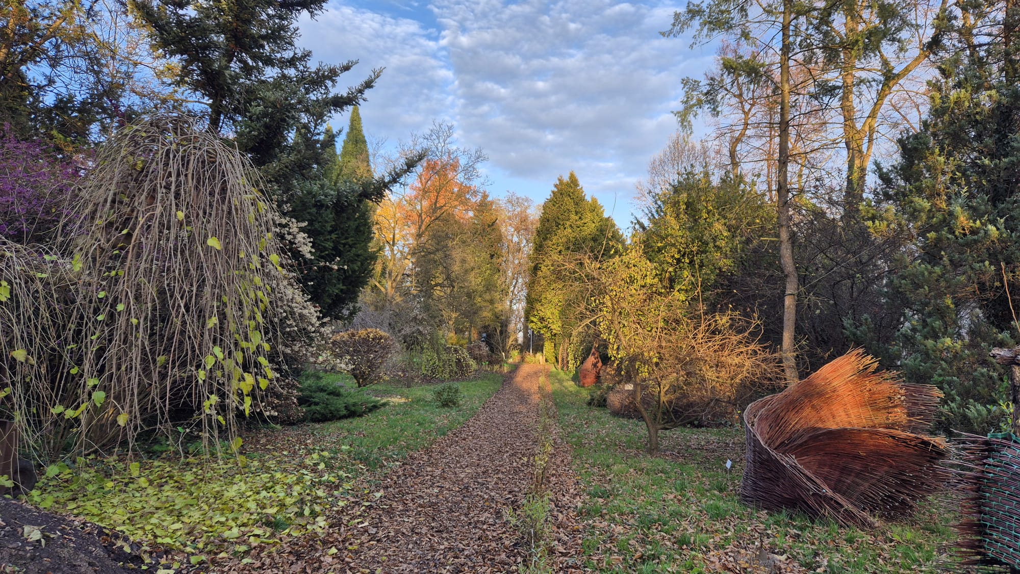 Jesienny widok na park
