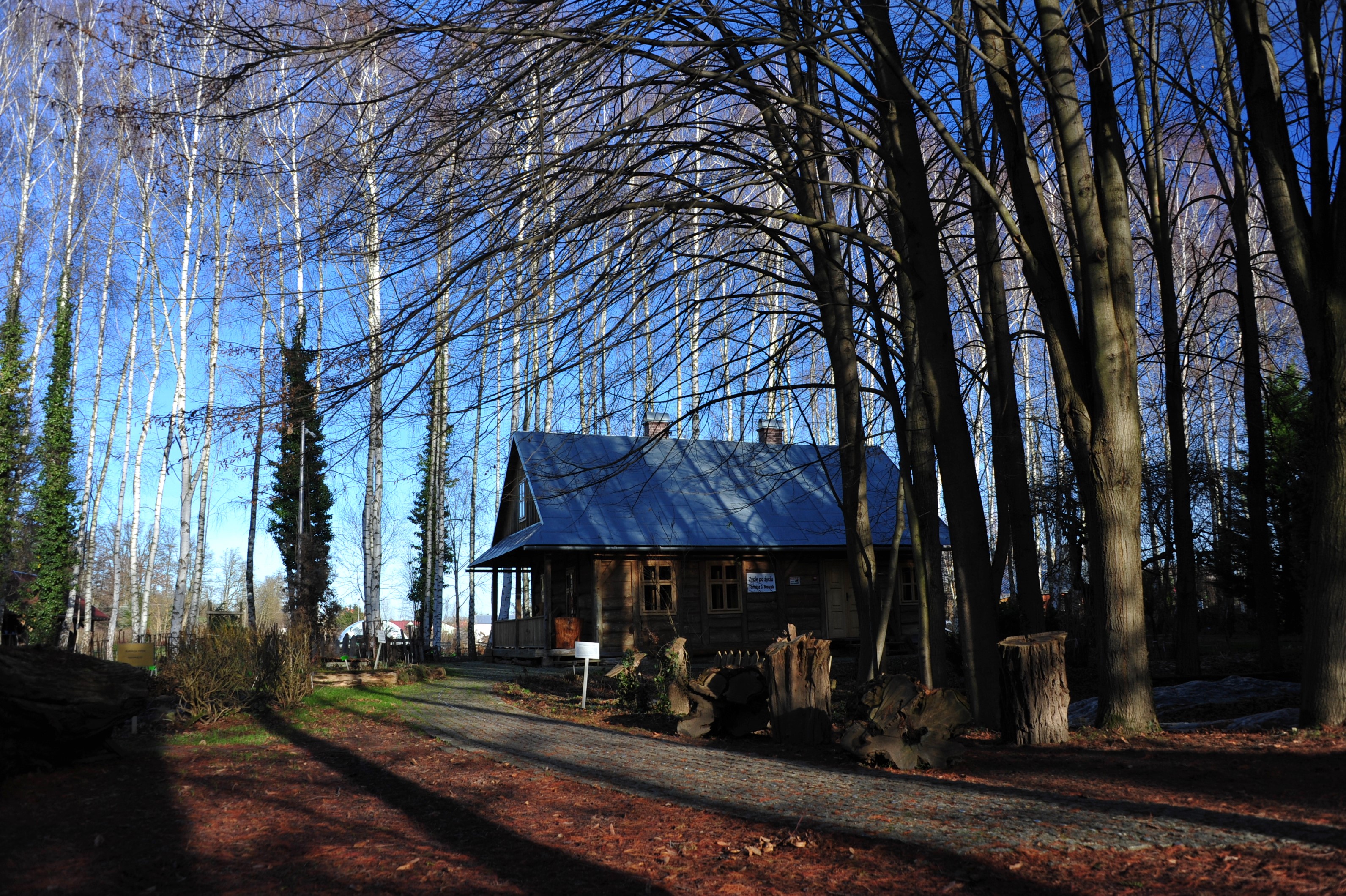 Widok ogrodu skąpanego jesiennym słońcem